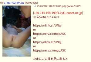 52498 B